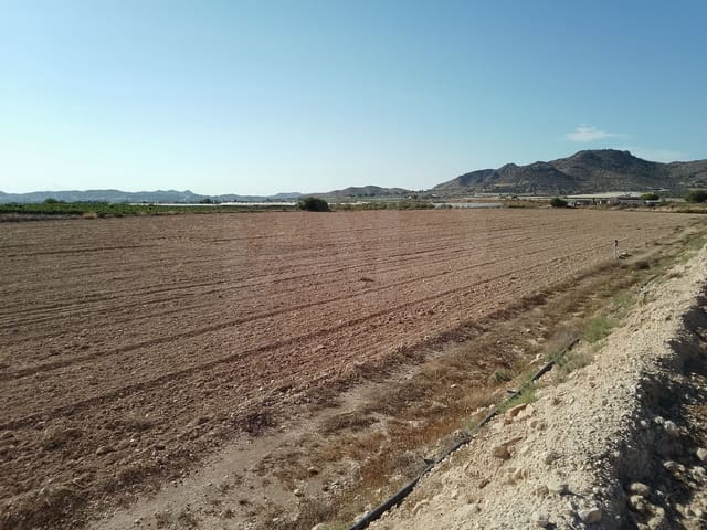 Terreno Non Edificato in vendita in Novelda - 145.000 € (Rif: 10130846)