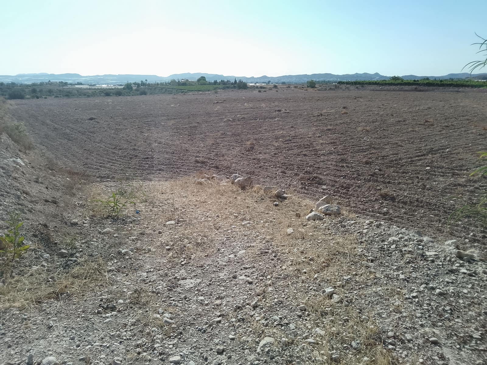 Terreno Non Edificato in vendita in Novelda - 145.000 € (Rif: 10130846)