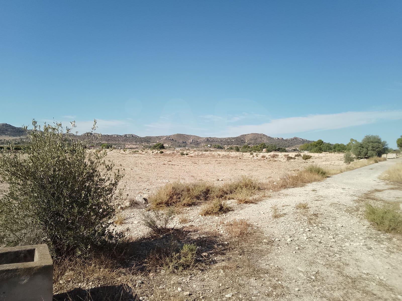 Terreno Non Edificato in vendita in Novelda - 145.000 € (Rif: 10130846)