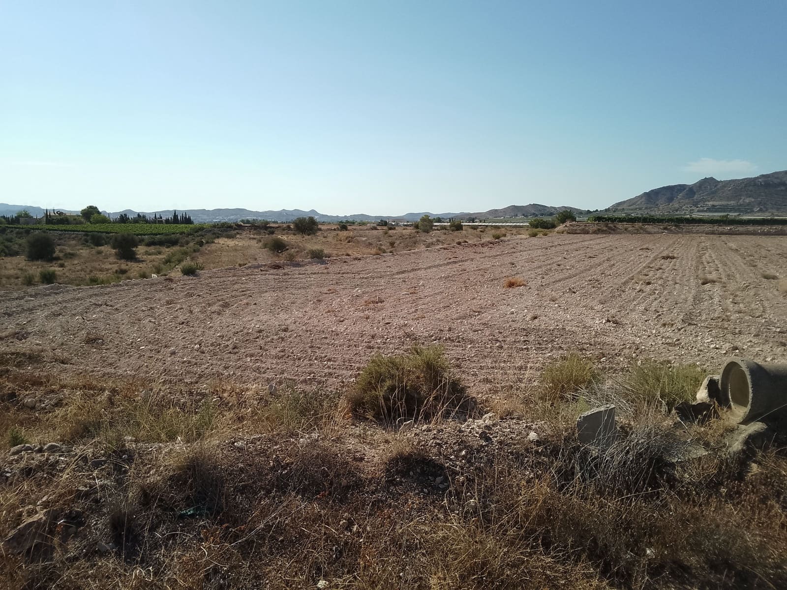 Terreno Non Edificato in vendita in Novelda - 145.000 € (Rif: 10130846)