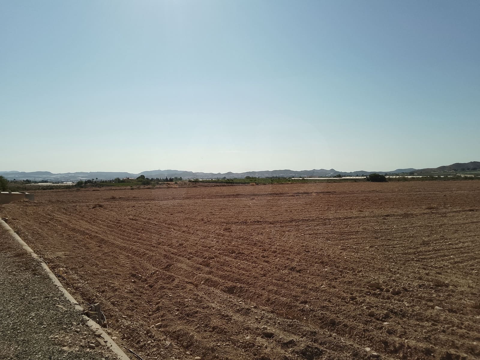 Terreno Non Edificato in vendita in Novelda - 145.000 € (Rif: 10130846)