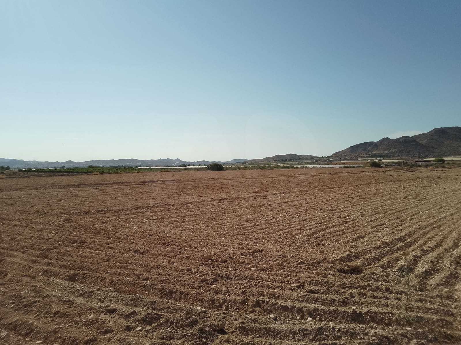 Terreno Non Edificato in vendita in Novelda - 145.000 € (Rif: 10130846)