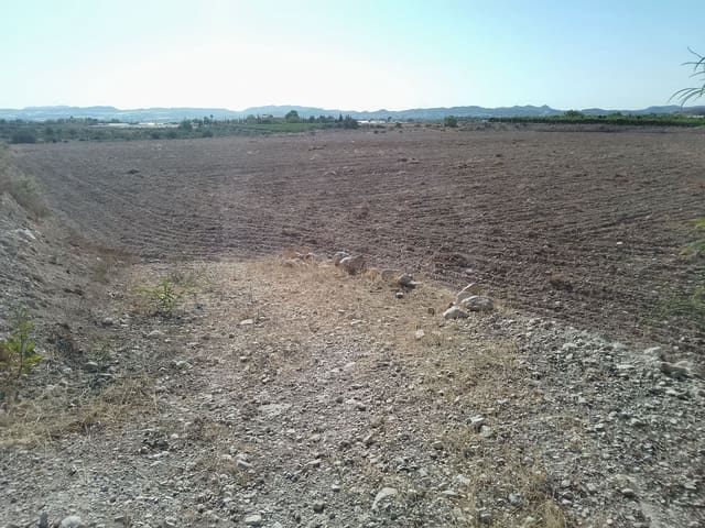 Terreno Non Edificato in vendita in Novelda - 145.000 € (Rif: 10130846)