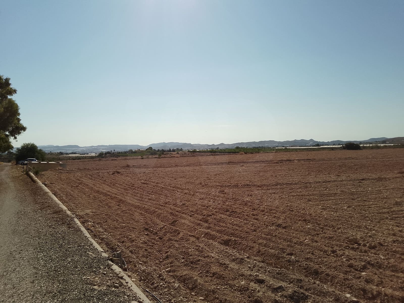Terreno Non Edificato in vendita in Novelda - 145.000 € (Rif: 10130846)
