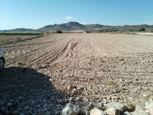 Terreno Non Edificato in vendita in Novelda - 145.000 € (Rif: 10130846)