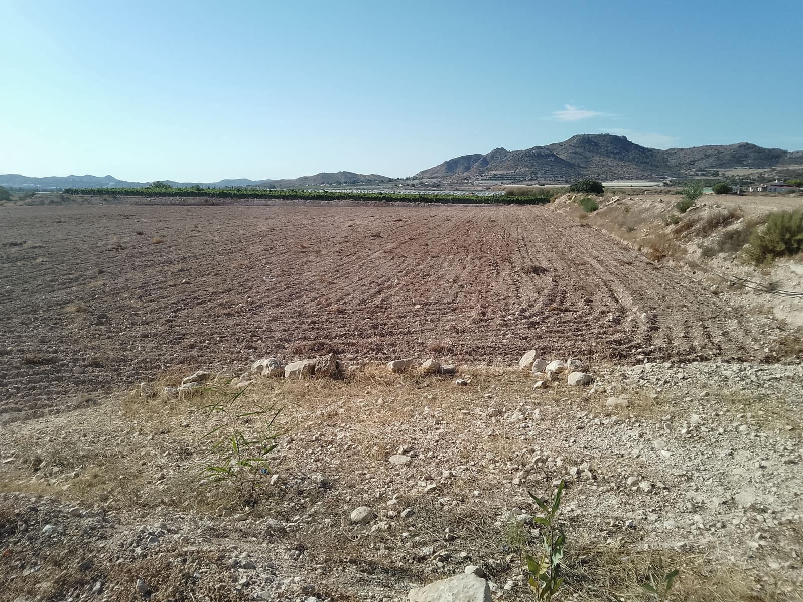 Terreno Non Edificato in vendita in Novelda - 145.000 € (Rif: 10130846)
