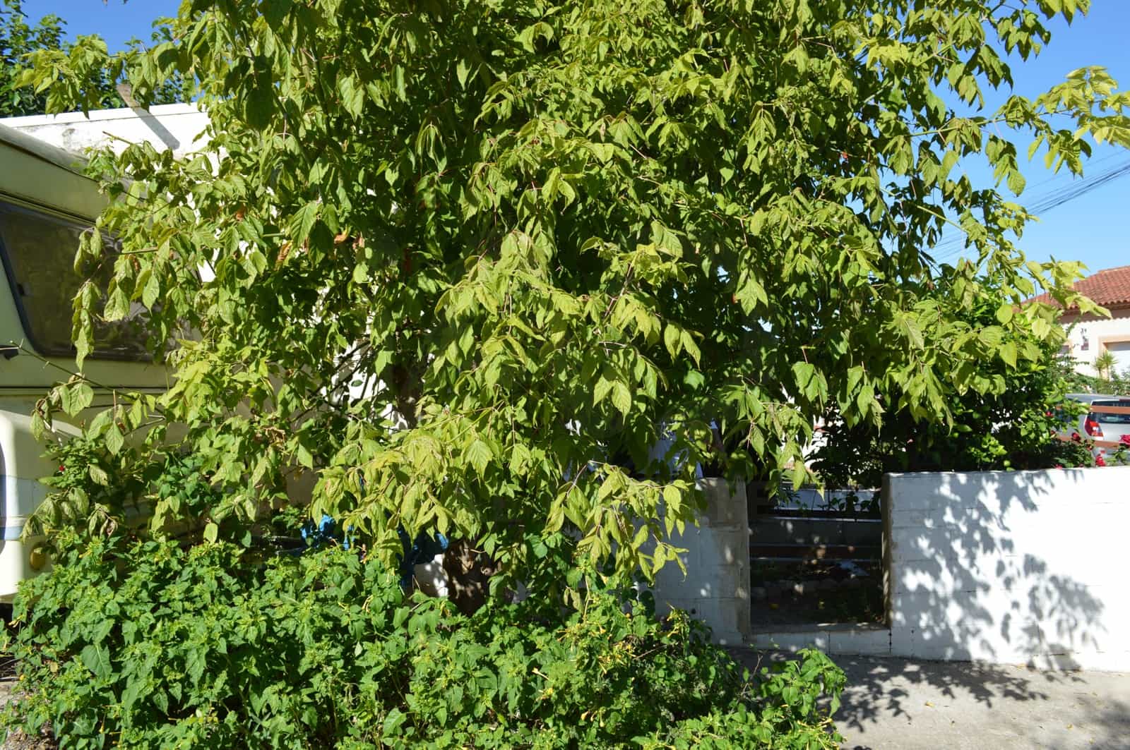 2 bedroom Townhouse for sale in Albinyana with garage - € 249,900 (Ref: 10131050)