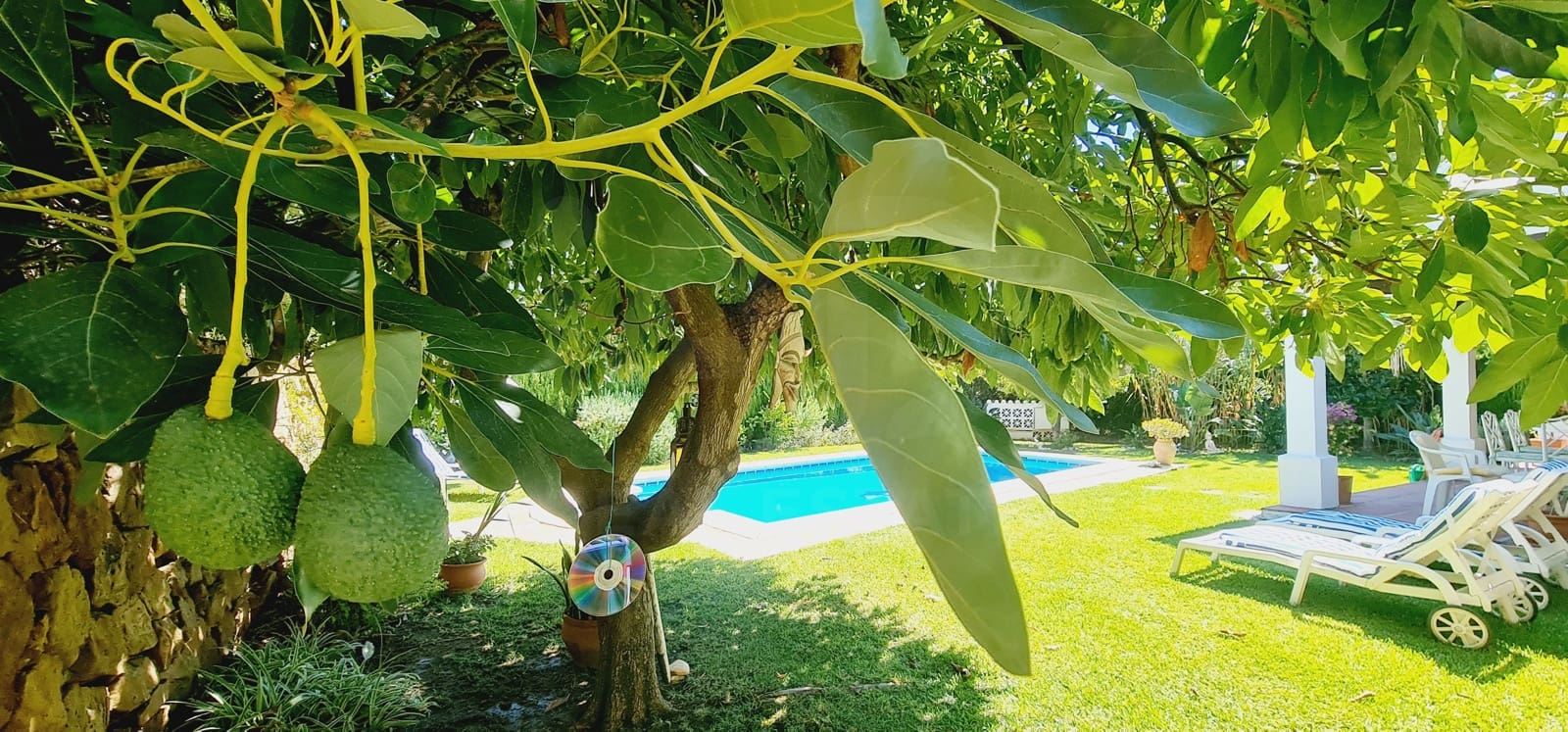 4 Zimmer Apartment zu verkaufen in Mijas mit Pool Garage - 950.000 € (Ref: 10131051)
