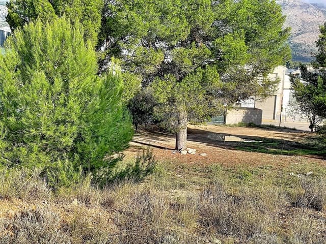 Building Plot for sale in Muro de Alcoy - € 3,500,000 (Ref: 10135129)