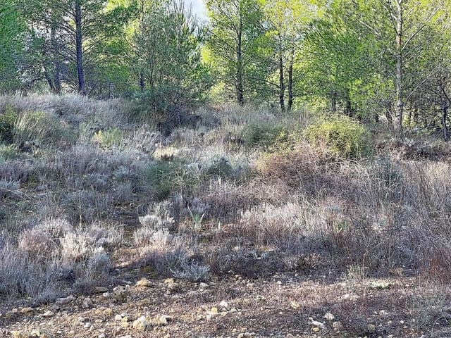 Building Plot for sale in Muro de Alcoy - € 3,500,000 (Ref: 10135129)