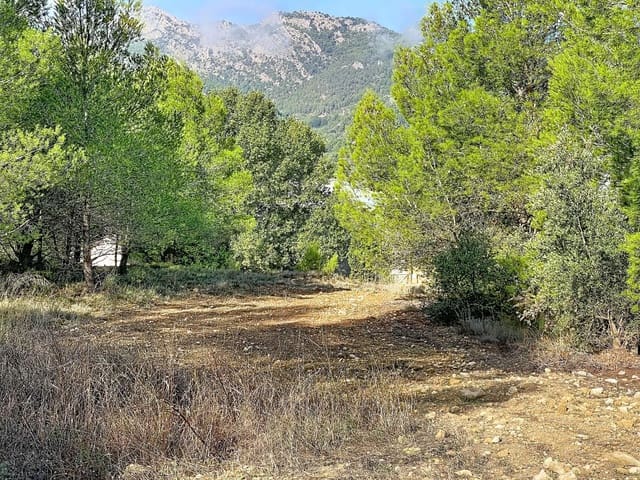 Building Plot for sale in Muro de Alcoy - € 3,500,000 (Ref: 10135129)