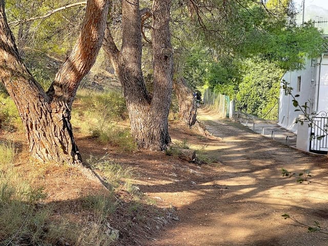 Building Plot for sale in Muro de Alcoy - € 3,500,000 (Ref: 10135129)