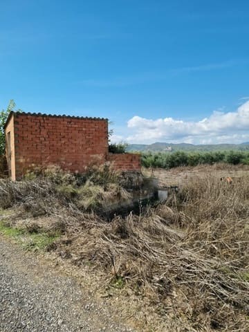 Undeveloped Land for sale in Ginestar - € 17,500 (Ref: 10136560)
