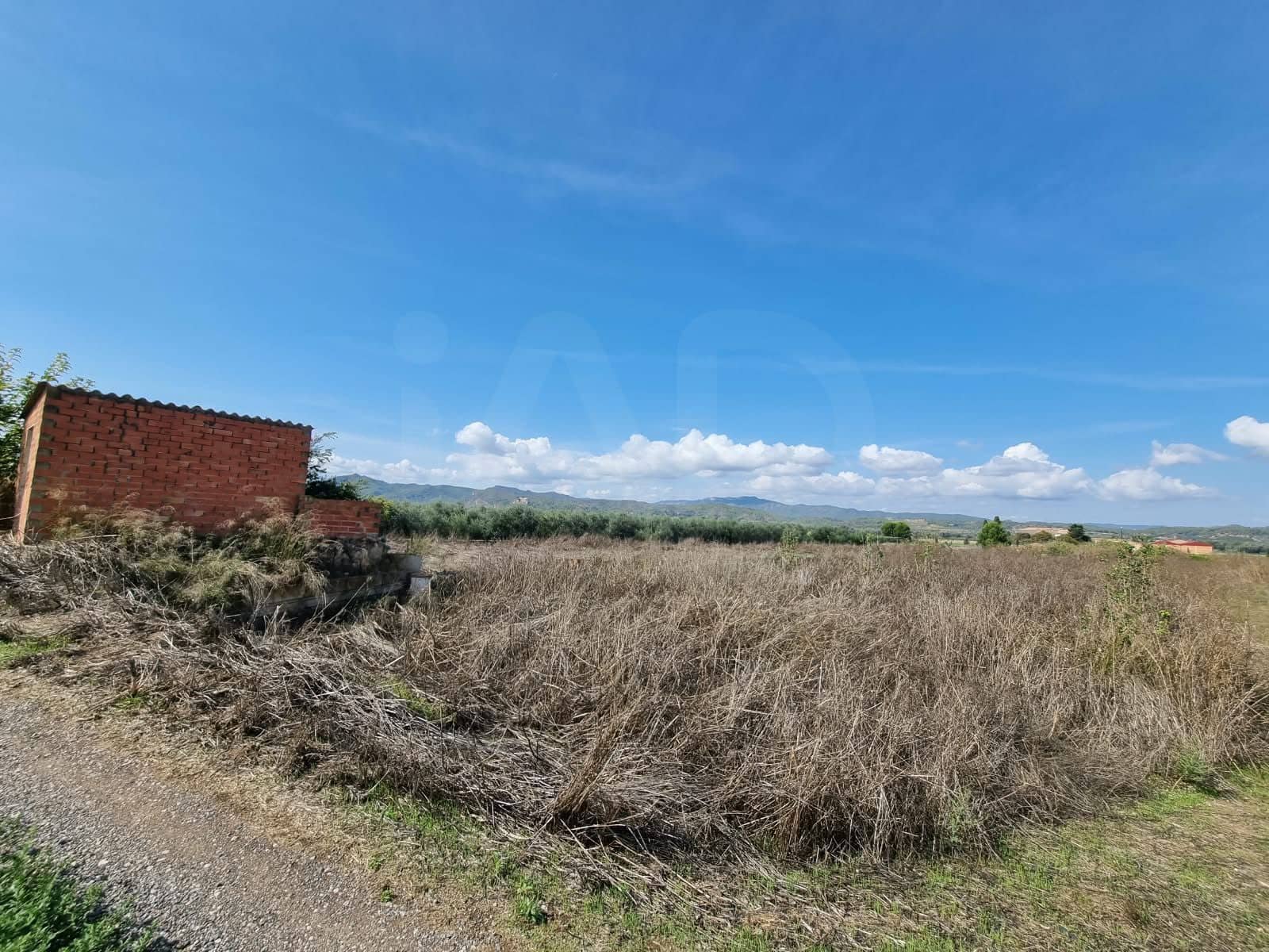 Undeveloped Land for sale in Ginestar - € 17,500 (Ref: 10136560)