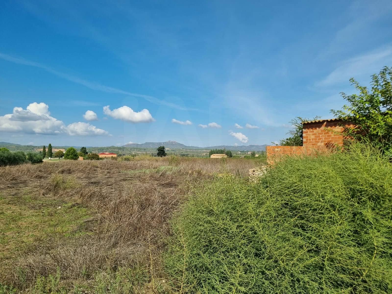 Undeveloped Land for sale in Ginestar - € 17,500 (Ref: 10136560)