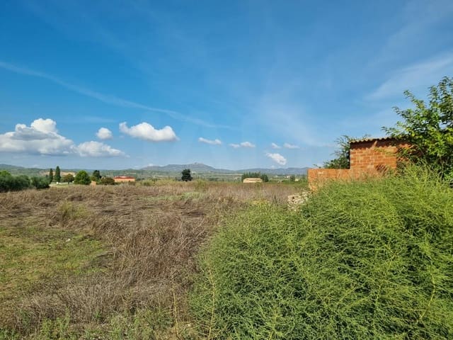 Undeveloped Land for sale in Ginestar - € 17,500 (Ref: 10136560)