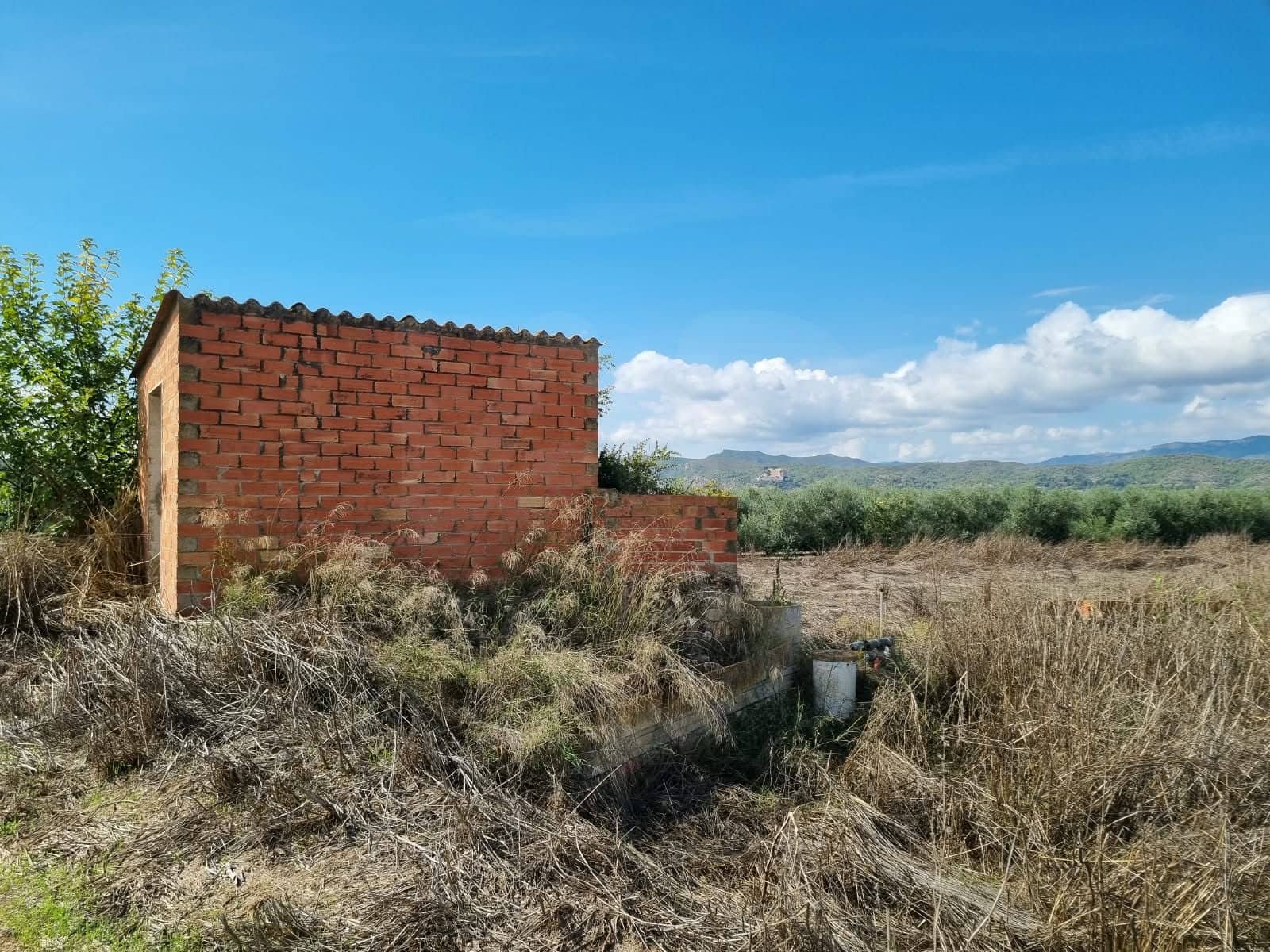 Undeveloped Land for sale in Ginestar - € 17,500 (Ref: 10136560)