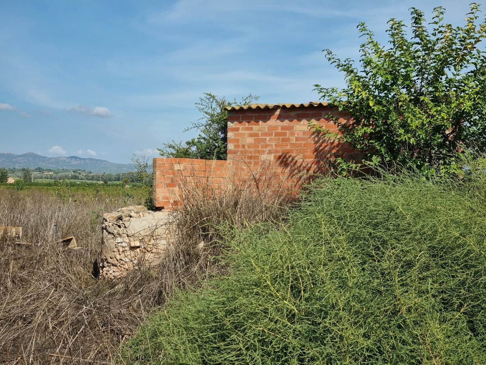 Undeveloped Land for sale in Ginestar - € 17,500 (Ref: 10136560)