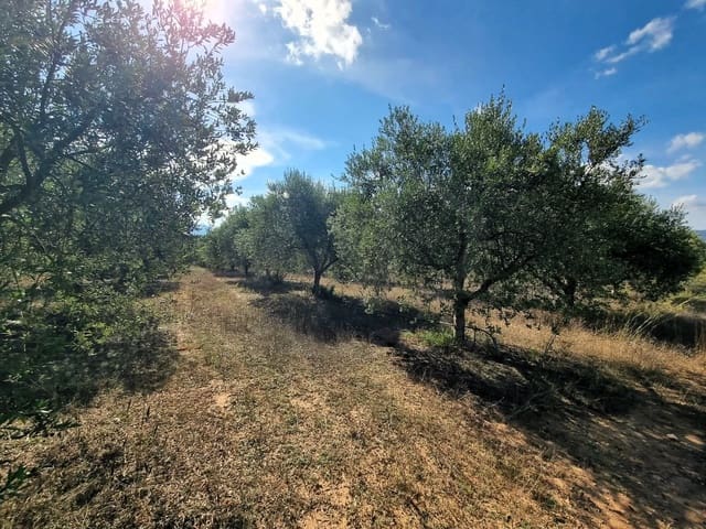 Teren niezagospodarowany na sprzedaż w Ginestar - 32 000 € (Ref: 10136561)