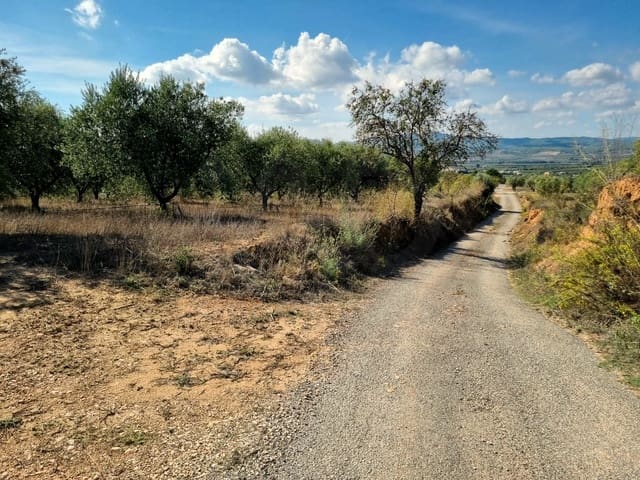 Teren niezagospodarowany na sprzedaż w Ginestar - 32 000 € (Ref: 10136561)