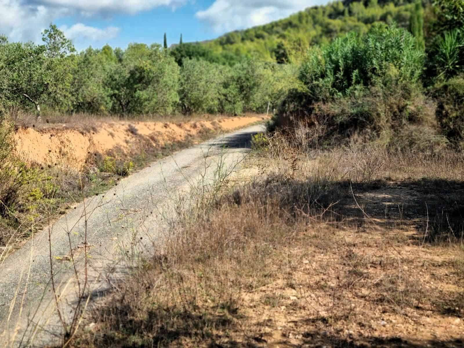 Undeveloped Land for sale in Ginestar - € 32,000 (Ref: 10136561)