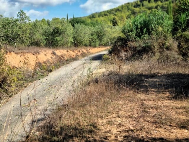 Undeveloped Land for sale in Ginestar - € 32,000 (Ref: 10136561)