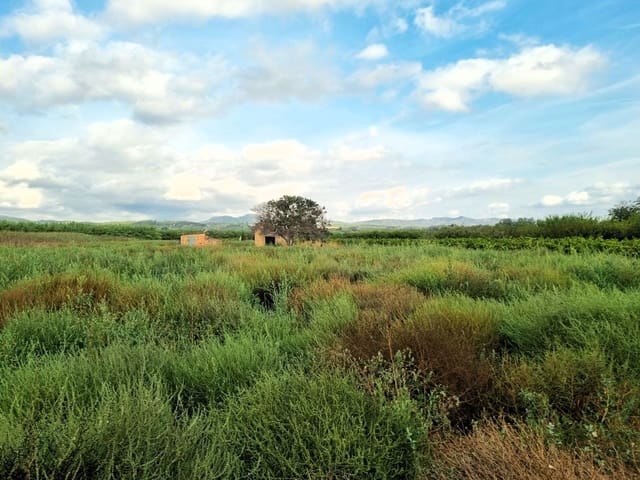 Undeveloped Land for sale in Ginestar - € 26,000 (Ref: 10136562)