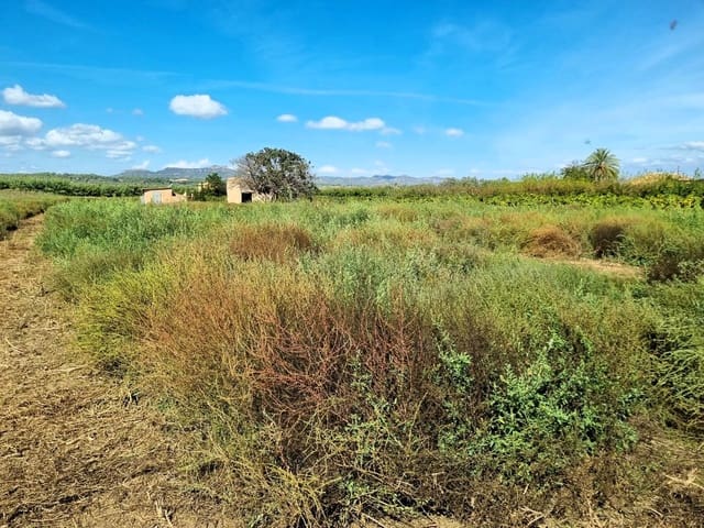Undeveloped Land for sale in Ginestar - € 26,000 (Ref: 10136562)