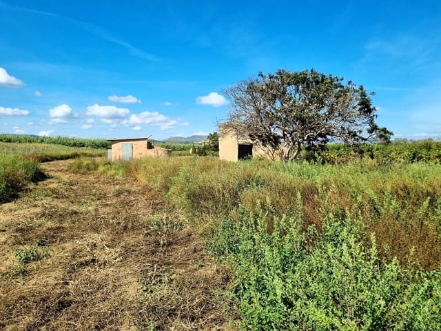 Undeveloped Land for sale in Ginestar - € 26,000 (Ref: 10136562)