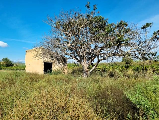 Undeveloped Land for sale in Ginestar - € 26,000 (Ref: 10136562)
