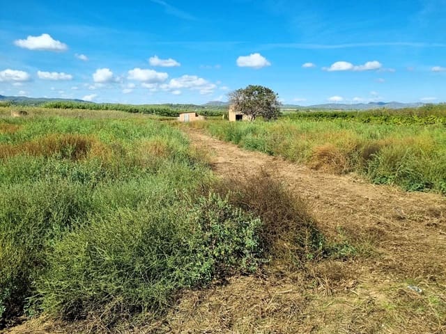 Undeveloped Land for sale in Ginestar - € 26,000 (Ref: 10136562)