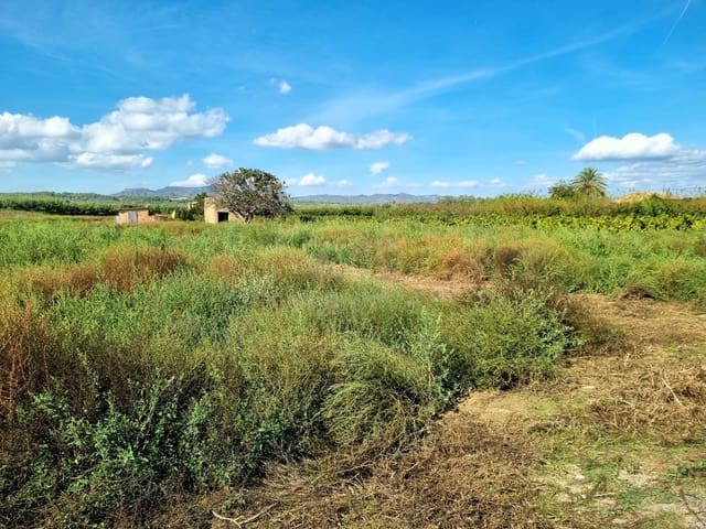 Undeveloped Land for sale in Ginestar - € 26,000 (Ref: 10136562)