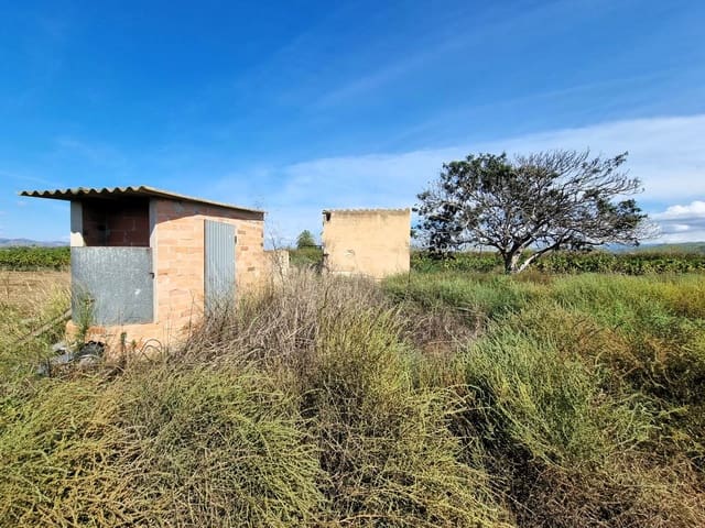 Undeveloped Land for sale in Ginestar - € 26,000 (Ref: 10136562)