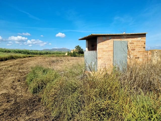 Undeveloped Land for sale in Ginestar - € 26,000 (Ref: 10136562)