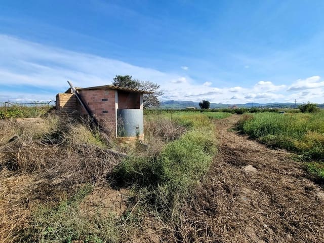 Undeveloped Land for sale in Ginestar - € 26,000 (Ref: 10136562)