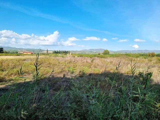 Terreno Non Edificato in vendita in Ginestar - 7.000 € (Rif: 10136577)