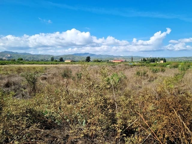 Terreno Non Edificato in vendita in Ginestar - 7.000 € (Rif: 10136577)