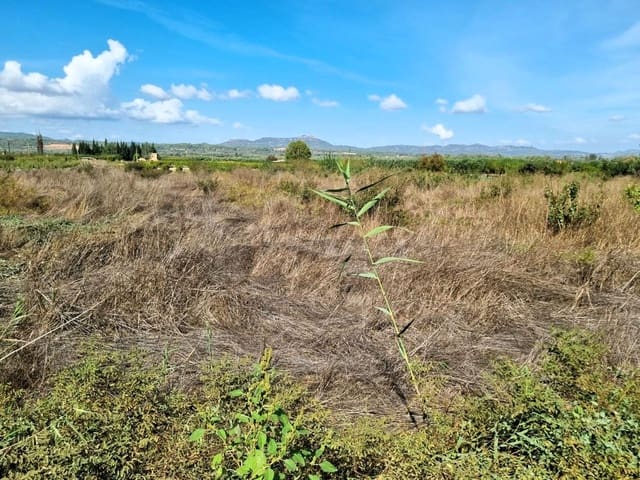 Terreno Non Edificato in vendita in Ginestar - 7.000 € (Rif: 10136577)