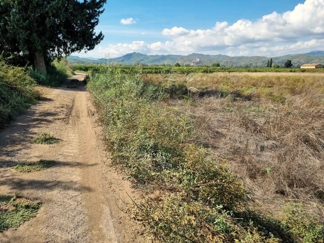 Terreno Non Edificato in vendita in Ginestar - 7.000 € (Rif: 10136577)