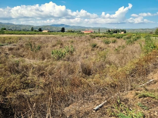 Terreno Non Edificato in vendita in Ginestar - 7.000 € (Rif: 10136577)