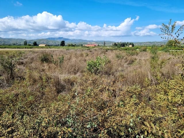 Terreno Non Edificato in vendita in Ginestar - 7.000 € (Rif: 10136577)