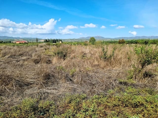 Terreno Non Edificato in vendita in Ginestar - 7.000 € (Rif: 10136577)