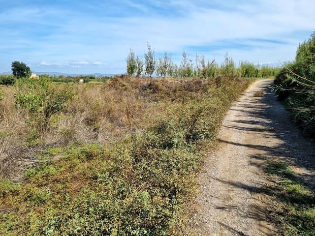 Terreno Non Edificato in vendita in Ginestar - 7.000 € (Rif: 10136577)