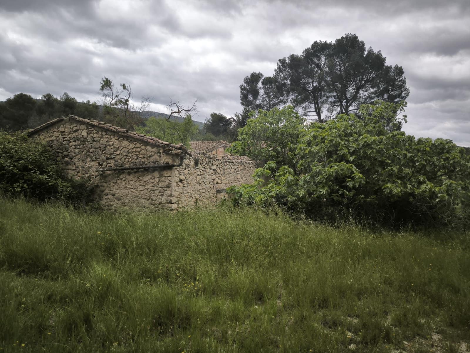 Terreno Não Urbanizado para venda em Alcoy / Alcoi - 2 330 000 € (Ref: 10139001)