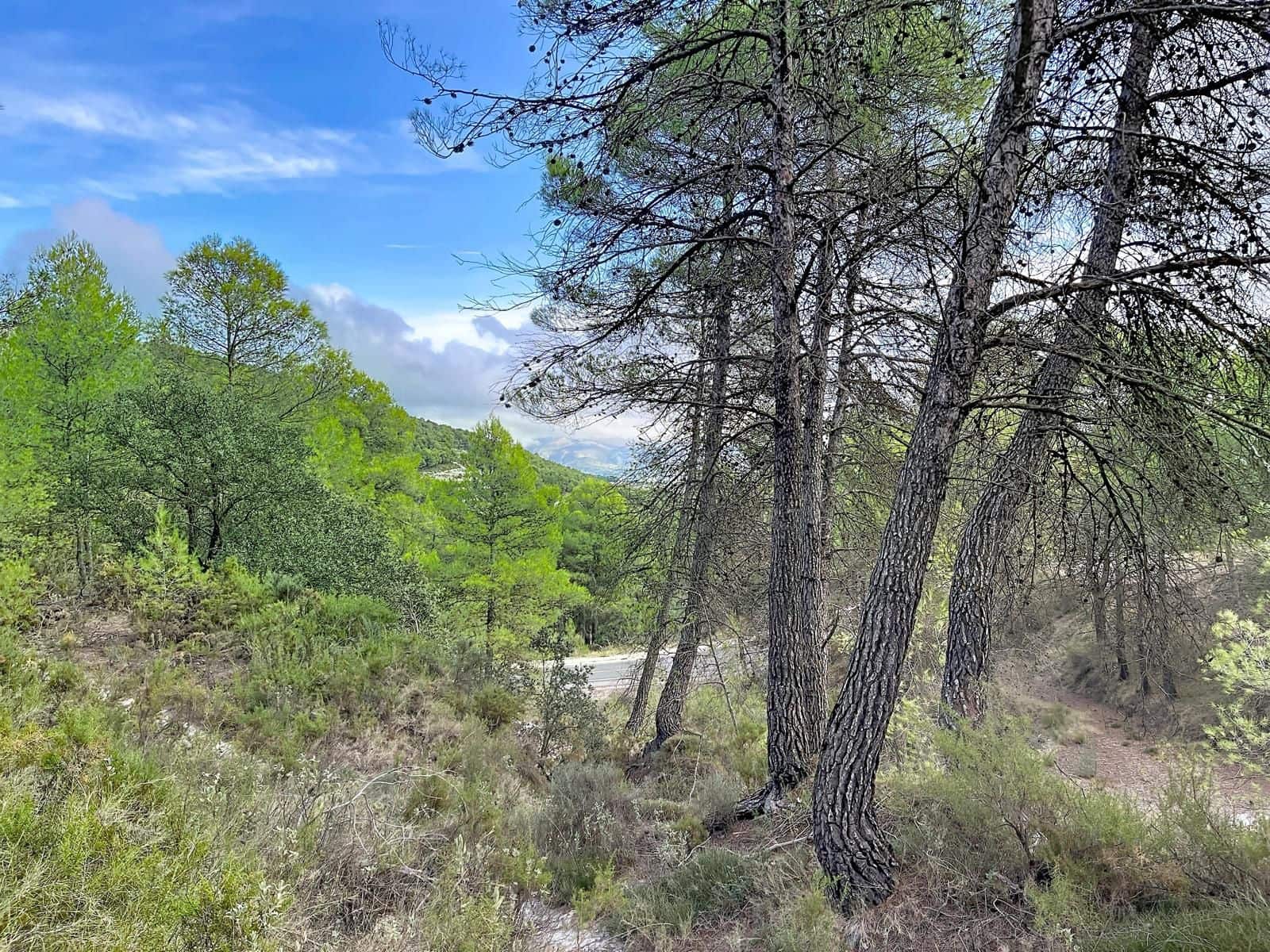 Terreno Não Urbanizado para venda em Alcoy / Alcoi - 2 330 000 € (Ref: 10139001)