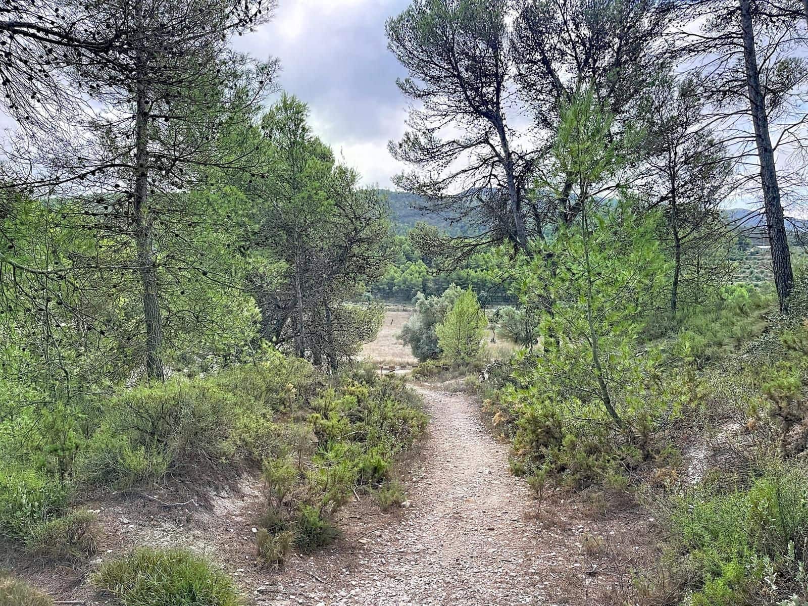 Terreno Não Urbanizado para venda em Alcoy / Alcoi - 2 330 000 € (Ref: 10139001)