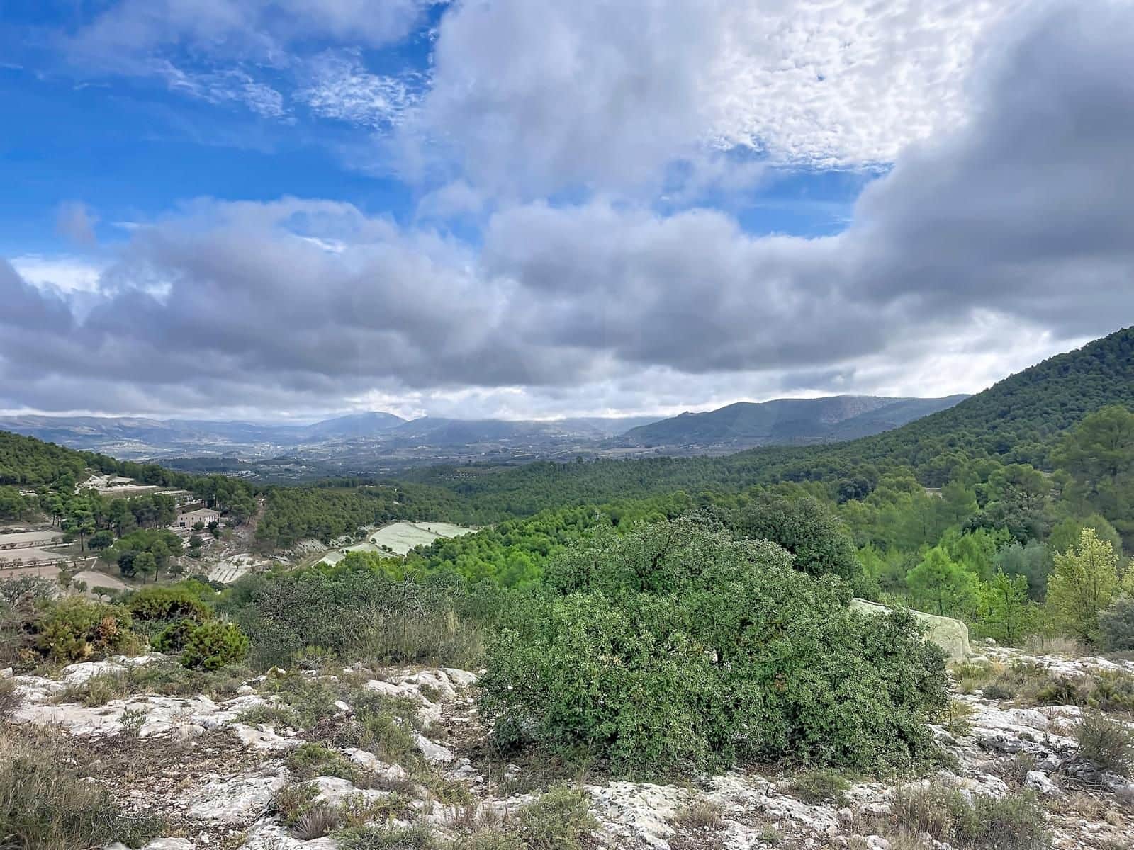 Terreno Não Urbanizado para venda em Alcoy / Alcoi - 2 330 000 € (Ref: 10139001)