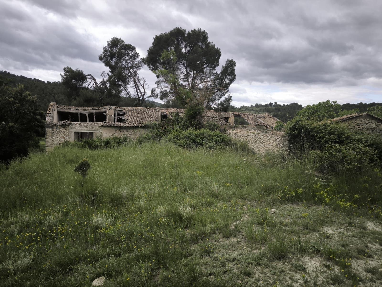 Terreno Não Urbanizado para venda em Alcoy / Alcoi - 2 330 000 € (Ref: 10139001)