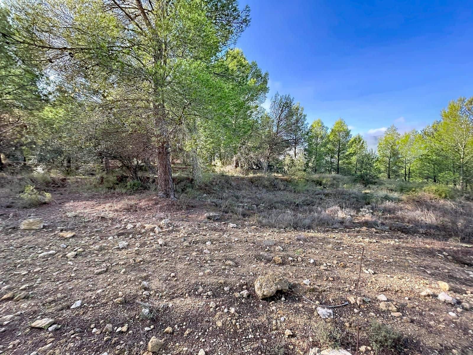 Działka budowlana na sprzedaż w Muro de Alcoy - 3 500 000 € (Ref: 10139004)