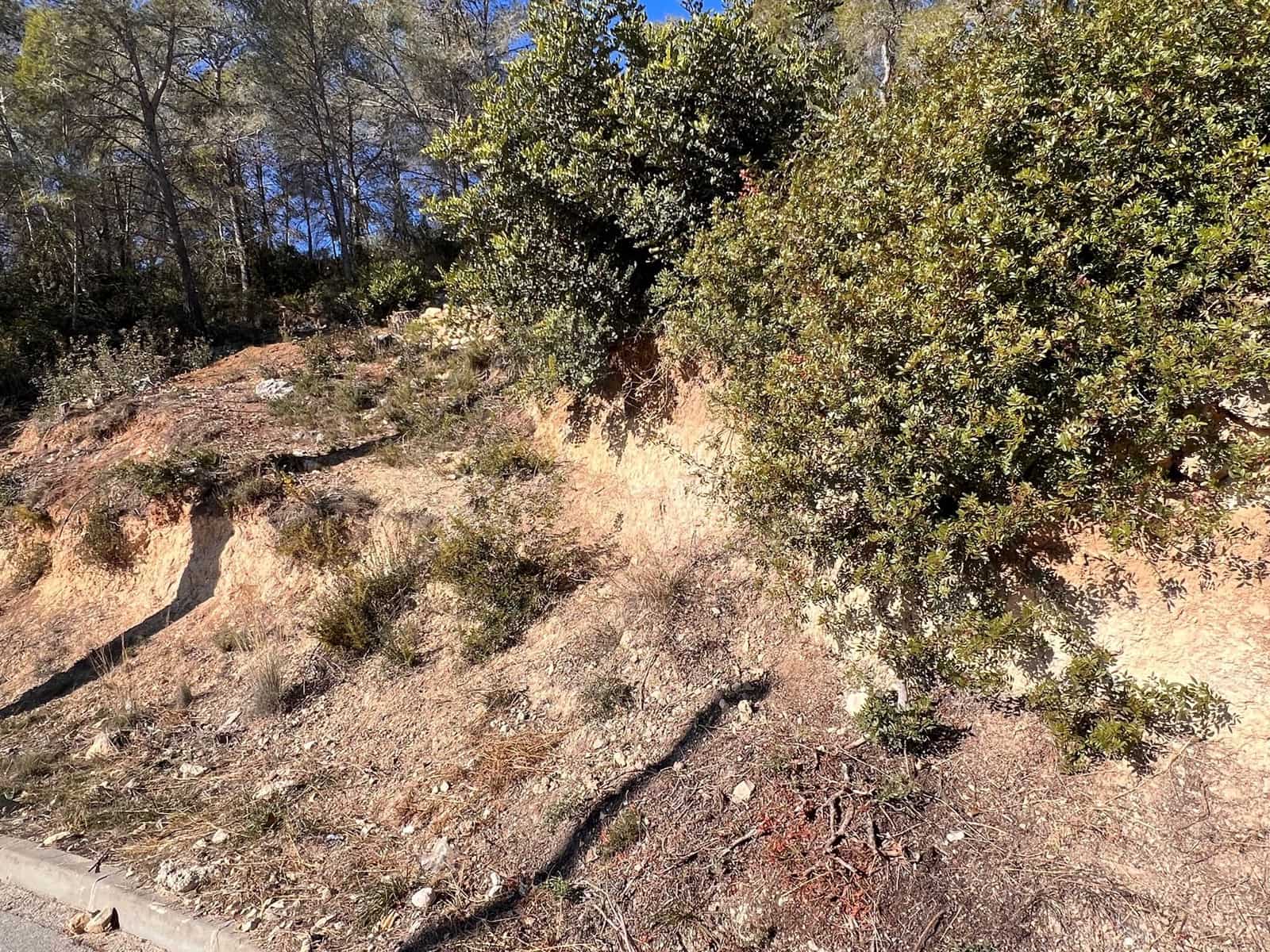 Building Plot for sale in Olivella - € 45,000 (Ref: 10139013)